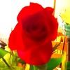 insten24